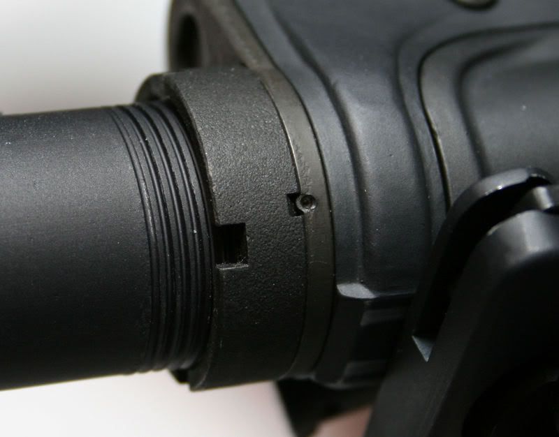 Cannot Stake Castle Nut Need Ideas